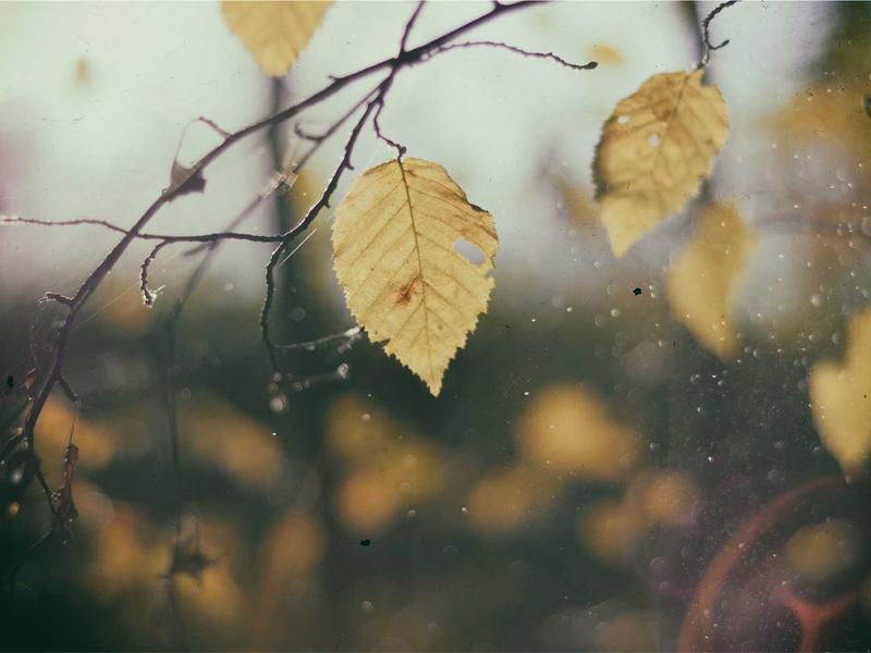 海上明月<br>qyi4ujty.cn 天涯共此时节